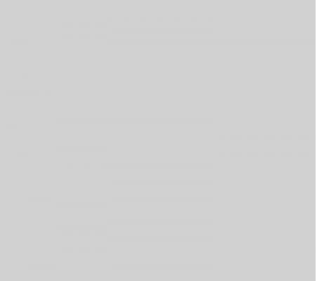 littlejonimglogotypegreyincfinanceblank