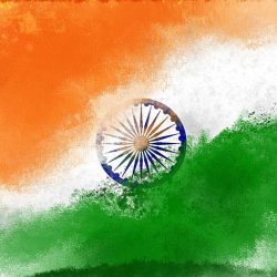 7993c62ed47b5a6ea929a538e7f6c6a7